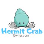 Hermit Crab Molting: Everything You Should Know – Hermit Crab Owner