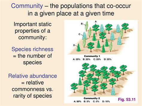 Ppt Community Ecology Powerpoint Presentation Free Download Id6374998