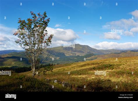 Ben Ledi From Callander Crags Callander Loch Lomond And Trossachs