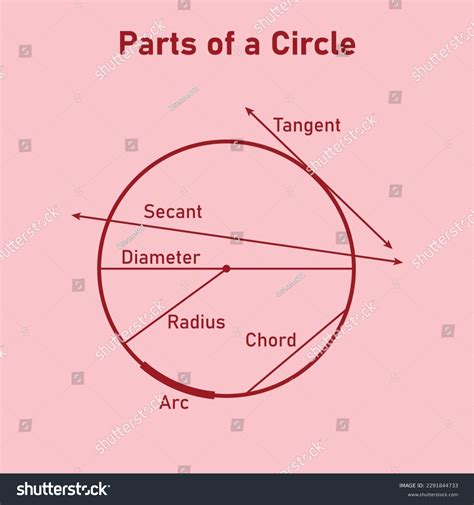 Parts Circle Diagram Mathematics Tangent Secant Stock Vector Royalty Free 2291844733