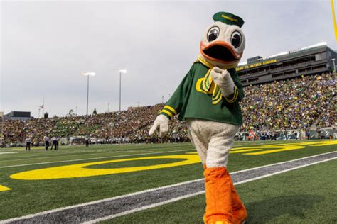 The Oregon Duck once again ranked prominently among top mascots in ...