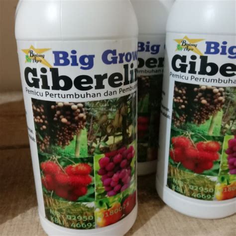 Jual Pupuk Organik Big Grow Buster Perbanyak Akar Daun Bunga Buah