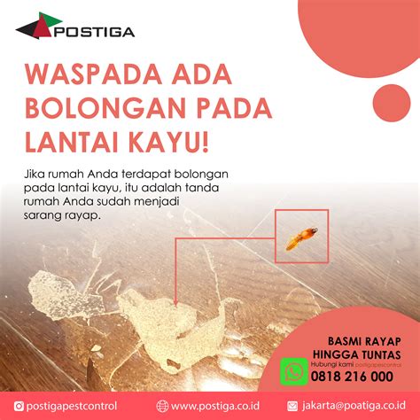 Anti Rayap Jakarta Pusat Pt Postiga Sejahtera