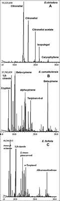 Frontiers Eucalyptus Derived Essential Oils Alleviate Microbes And