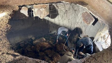 Siirt te çöken ahırda 12 koyun öldü