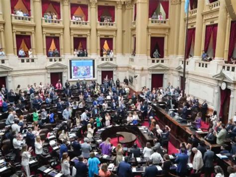 Los Alegatos M S Picantes En El Debate Por La Ley Mnibus