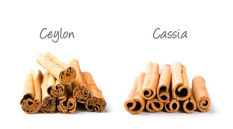 Understanding The Difference Between Cassia And Ceylon Cinnamon For Parrots