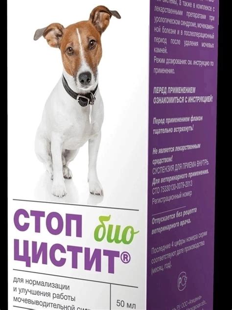 Стоп-цистит Био, для нормализации мочевыделительной системы собак ...