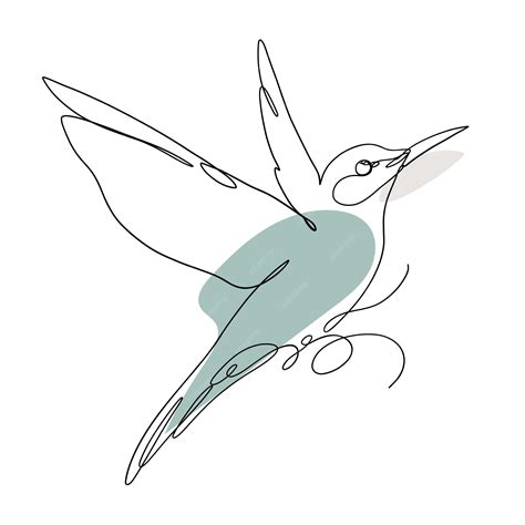 Beautiful Drawings Of Birds