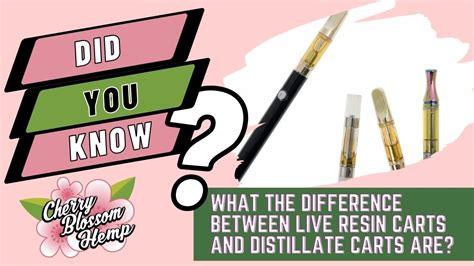 Hemp Live Resin Carts Vs Distillate Carts Learn The Differences Youtube