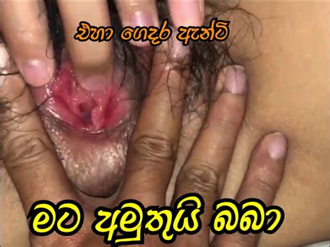 Sinhala Porn Videos Xhamster