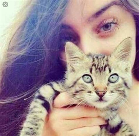 Pin By 💣mìŚś Error💣 🐍 رنگیلی ناگن 🐍 On Girls Dpzzzzz Cat Lovers Cat