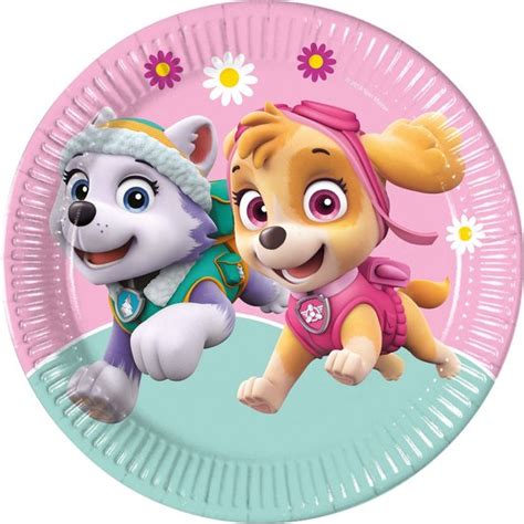 Procos Feestborden Paw Patrol Skye And Everest 23 Cm Roze 8 Stuks Bol