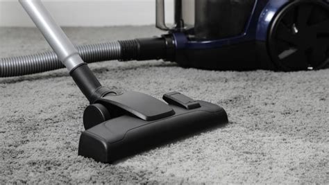 Shark Stick Vacuum Filters: The Key to Spotless Floors! - Living Pristine