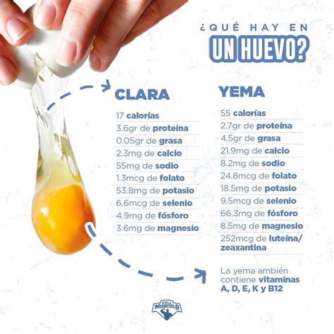 Cuanta proteína tiene un huevo cocido