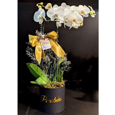 Orquídea Box Parabéns