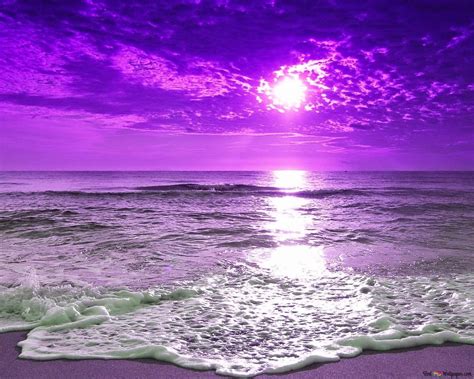 Purple Beach Sunset HD wallpaper download