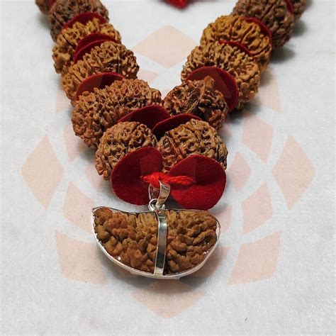 Rudraksha Siddha Mala To Mukhi With Ganesh Rosary