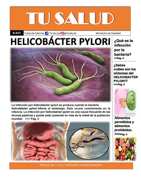 Tu Salud Helicobacter Pylori By Eneriet Olave Issuu