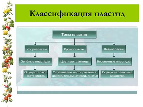 Презентация по биологии "Пластиды"