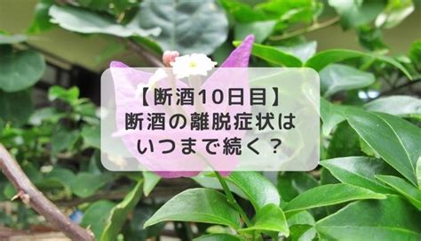 断酒の離脱症状はいつまで続く？終末睡眠て必ずくるの？【断酒10日目】 【断酒ブログ】子育て主婦はるかの断酒道【アラフォー・女性】