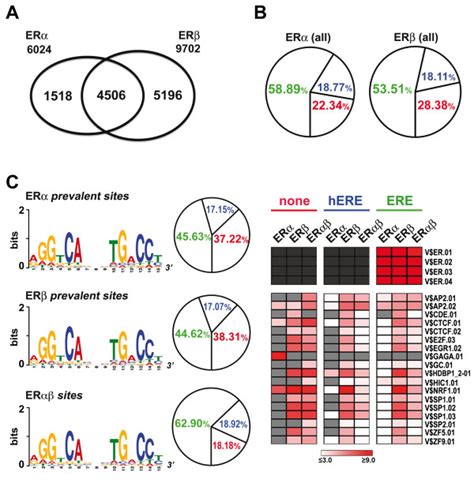 Sequence Analysis Of Erα Erβ And Erαerβ Binding Sites A Venn