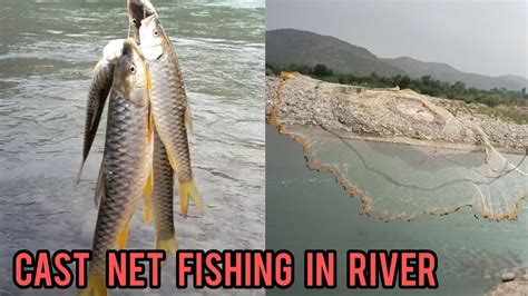 Fishing Net Casting Video Cast Net Fishing In River Cast Net