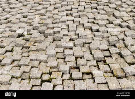 Stone Pavement Texture Granite Cobble Stoned Pavement Background