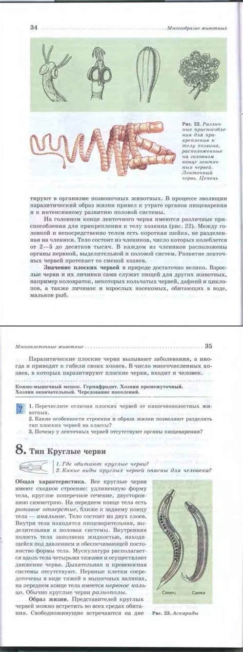 Читать онлайн учебник по биологии за 7 класс Латюшин Шапкин