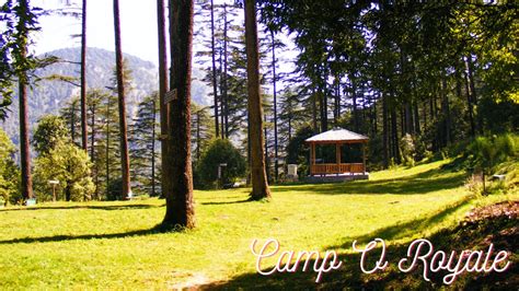 Best Resort In Dhanaulti Camp O Royale