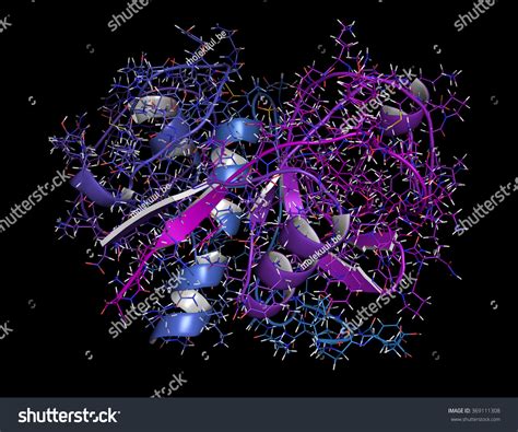 300 Papain enzyme Images, Stock Photos & Vectors | Shutterstock