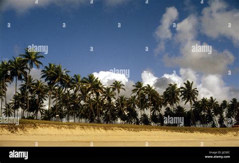 Beach Porto De Galinhas Pernambuco Brazil Stock Photo Alamy