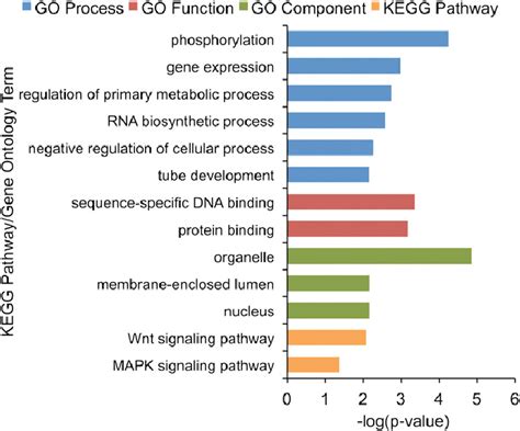 Selected Go Terms And Kegg Pathways Enriched In Genes Within