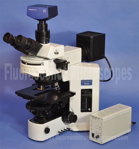 Fluorescence Microscopes Olympus Bx Upright Dic Darkfield