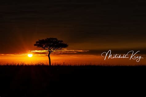 Iconic African Sunrise Landscape Photos Of Maasai Mara Kenya