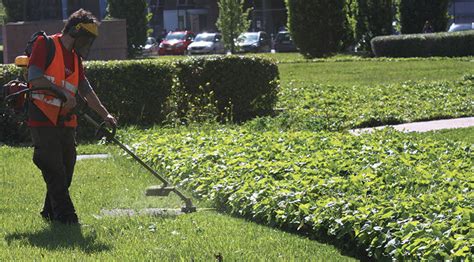 Enna Manutenzione Del Verde Pubblico Le Date Degli Interventi