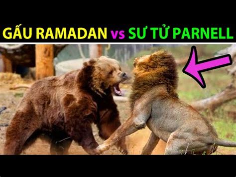 S T Parnell Vs G U X M Ramadan Tr N Chi N L Ch S Trong L Ng Ng