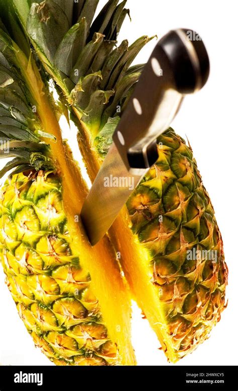 Pineapple Contains A Proteolytic Enzyme Bromelain Which Breaks Down