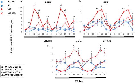 Bmal Dependent And Independent Regulation Of Circadian Clock Gene