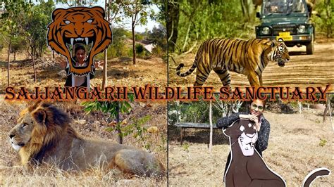 Sajjangarh Biological Park Sajjangarh Wildlife Sanctuary Places To