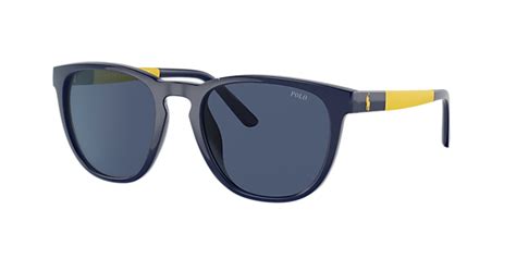 Polo Ralph Lauren Ph4167 56 Polar Grey And Shiny Dark Havana Polarized Sunglasses Sunglass Hut Usa