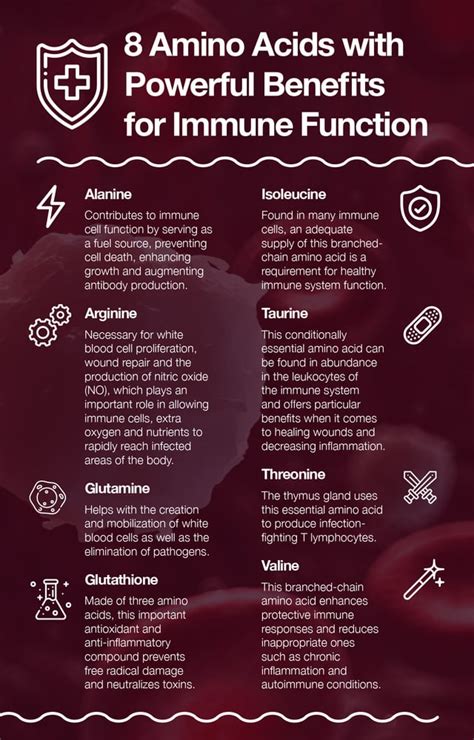 Boosting Your Immune System with Amino Acids : r/aminoacids