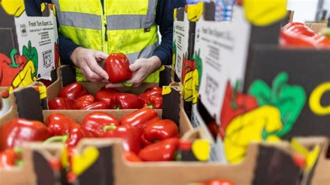 New Brexit Food Checks Will Test Britains Supply Chains Bbc News