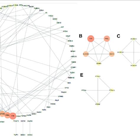 Protein Protein Interaction PPI Network Establishment And Module