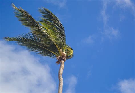 The Power Of Wind Unveiling The Destructive Force Of High Winds Safe