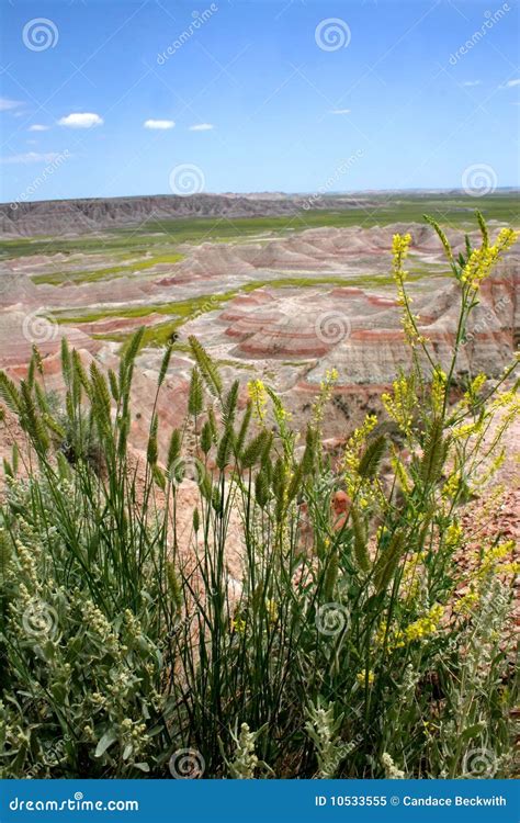 Ravines And Gullies Background Texture Stock Image