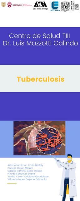 Infografía tuberculosis Nallely Altamirano uDocz