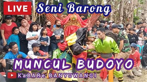 Live Seni Jaranan Muncul Budoyo Hari Ini Live Sasak Angklung