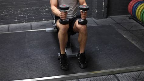 Dumbbell Seated Calf Raises Youtube