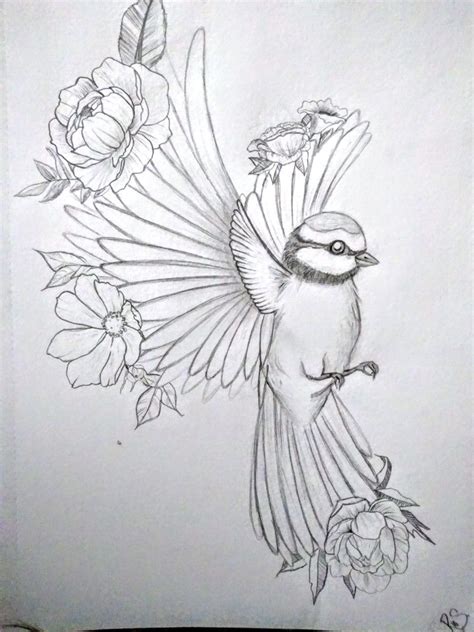 √ Sketches Of Birds And Flowers